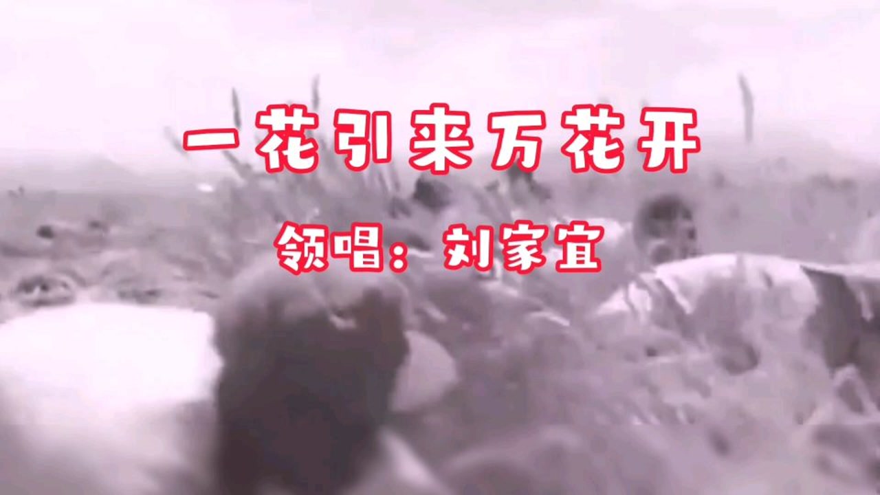 一花引来万花开(一花引来万花开)_搜狗百科