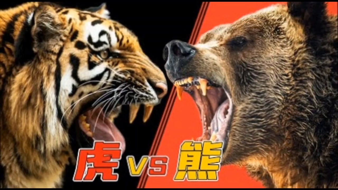 老虎和棕熊厮杀谁更厉害,老虎是万兽之王,那棕熊是什么