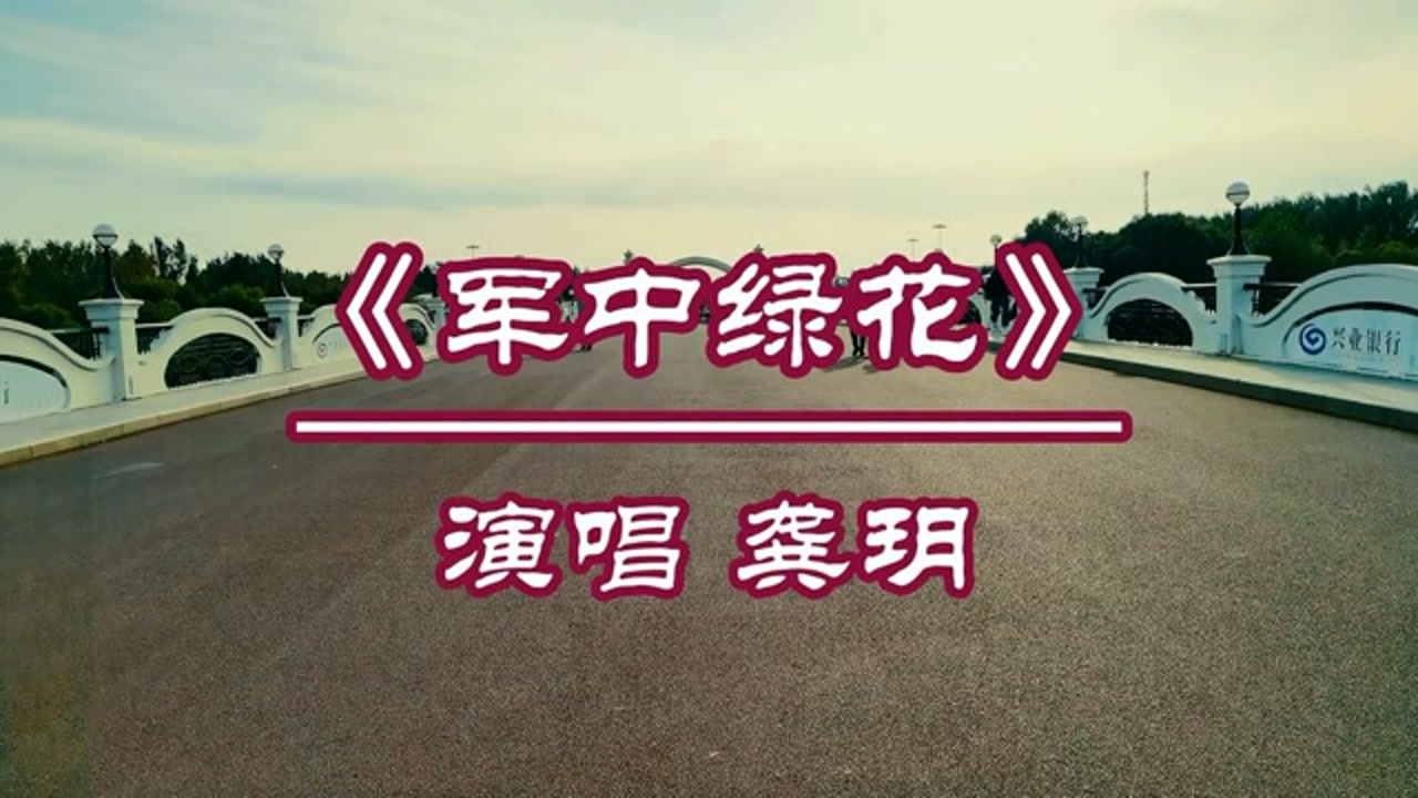 军营是一朵绿花歌曲(军营是一朵绿花歌曲90后)