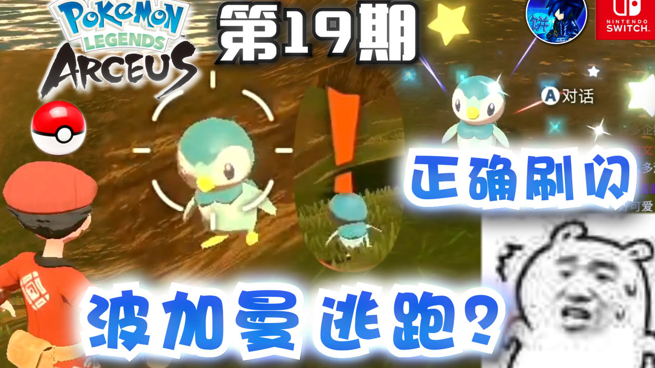 【宝可梦传说 阿尔宙斯】闪光波加曼逃走?正确刷闪光精灵步骤