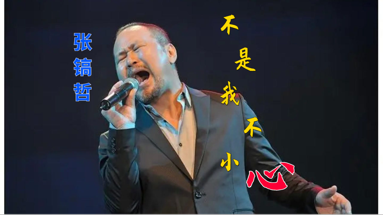 张镐哲不是我不小心