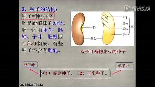 实验教科书七年级生物上册第三单元 生物圈中的绿色植物