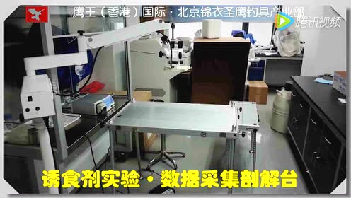 鹰王钓具 腾讯视频