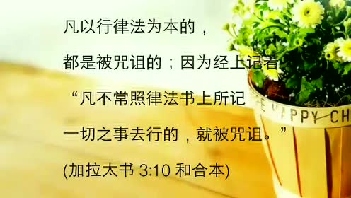 comwd律法与恩典wd律法和恩典罗马路书第五章讲道search圣经查经