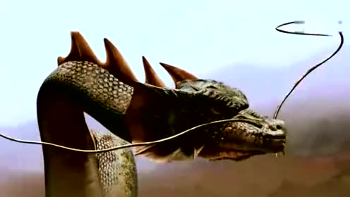 大蛇修炼千年成蛟, 蛟再修炼千年成龙