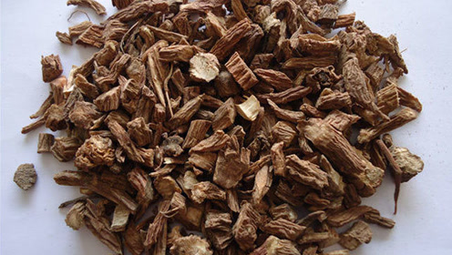 调理习惯性流产的中药续断