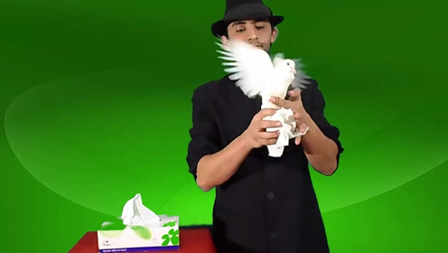 你知道魔术师变鸽子难度有多大么