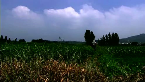 2017-09-21吕国岭 一把剪刀不一样剪纸人生0:03:47简 介:济南村民取土