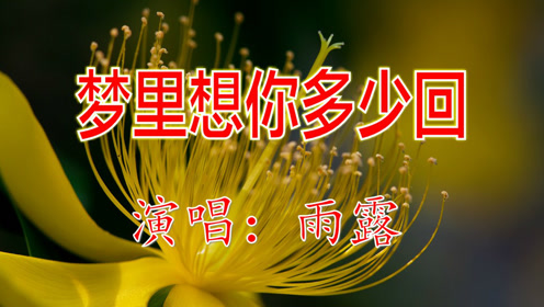 又出一首甜蜜的歌《梦里想你多少回》听醉了!