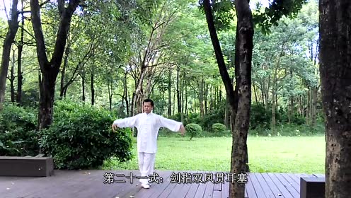 大雁气功之三叉螺旋功_冯万贵_20170727