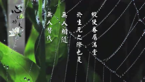 心能缘 腾讯视频