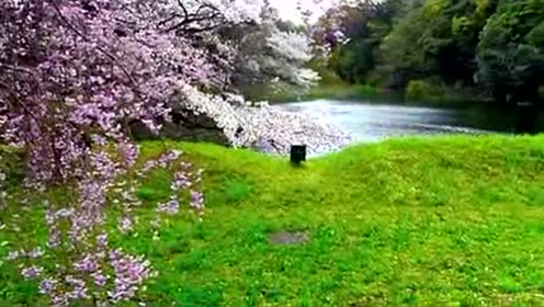 花吹雪リフレクト 腾讯视频