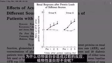吃素为什么能防肾病？