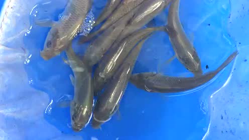 腾讯视频