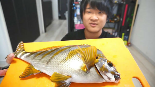 名贵鱼王三刀鱼,不清蒸这样弄简直太浪费了!