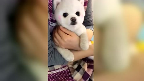 後藤果萌 腾讯视频