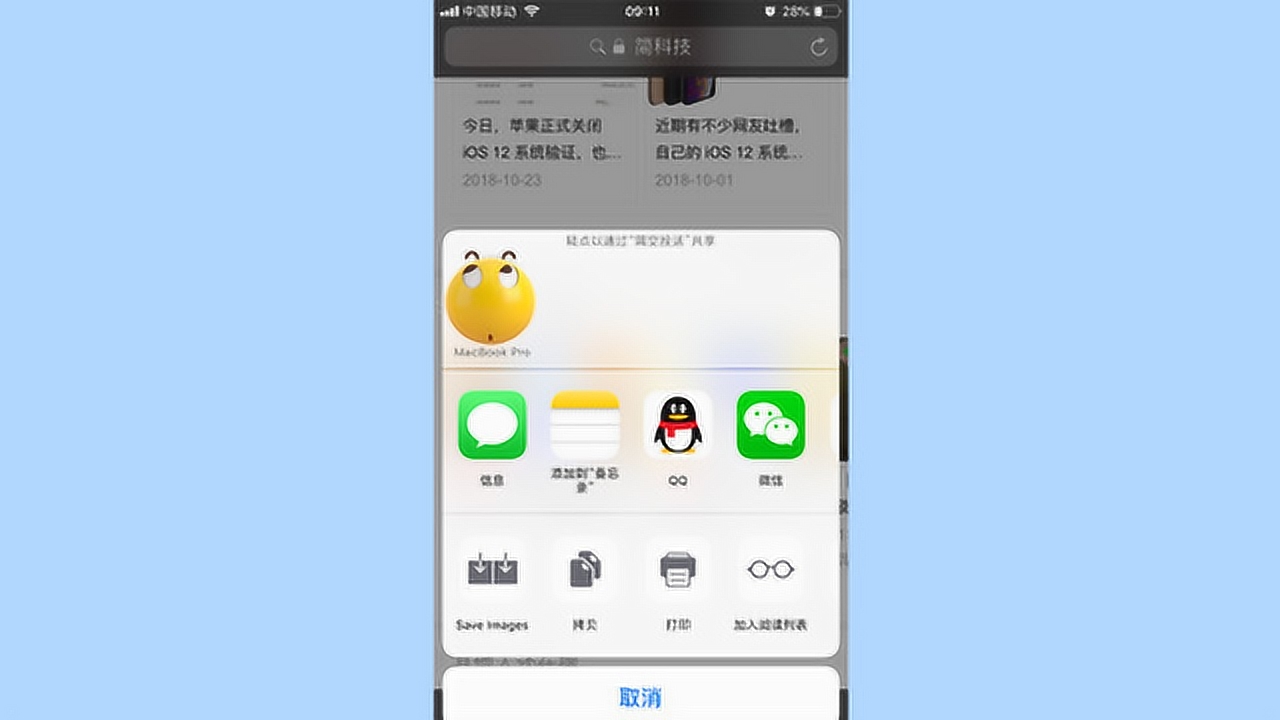 苹果手机safari高效率插件自动识别照片并保存手机相册