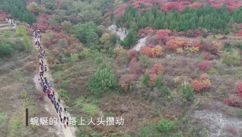 遥山的红叶 腾讯视频