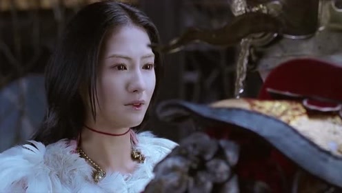 无极:张柏芝掀开了鲜花盔甲主人的面具,原来是将军.她失望了