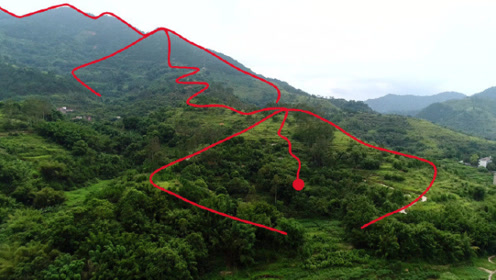 风水大师寻龙点穴,罗定黄家祖坟"美女献花"风水宝地