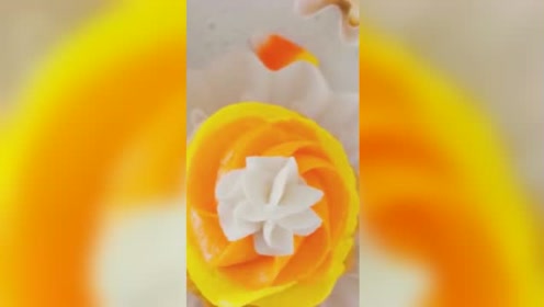 星形花 腾讯视频