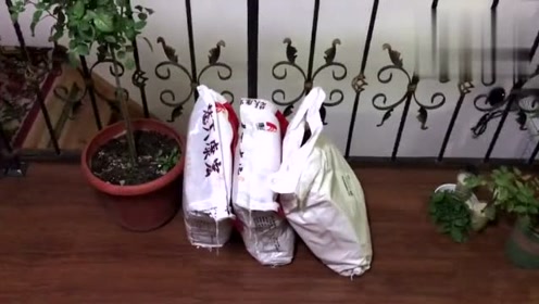 盆栽用土 腾讯视频