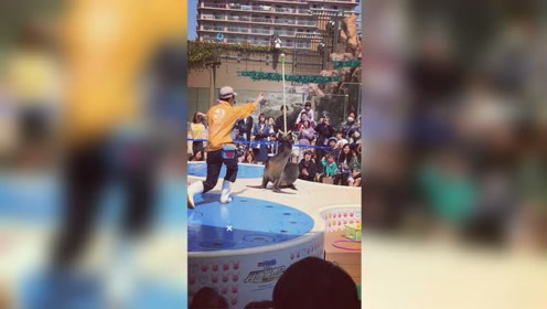 腾讯视频