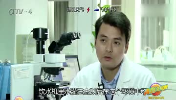 用饮水机喝桶装水，不如直接喝自来水？