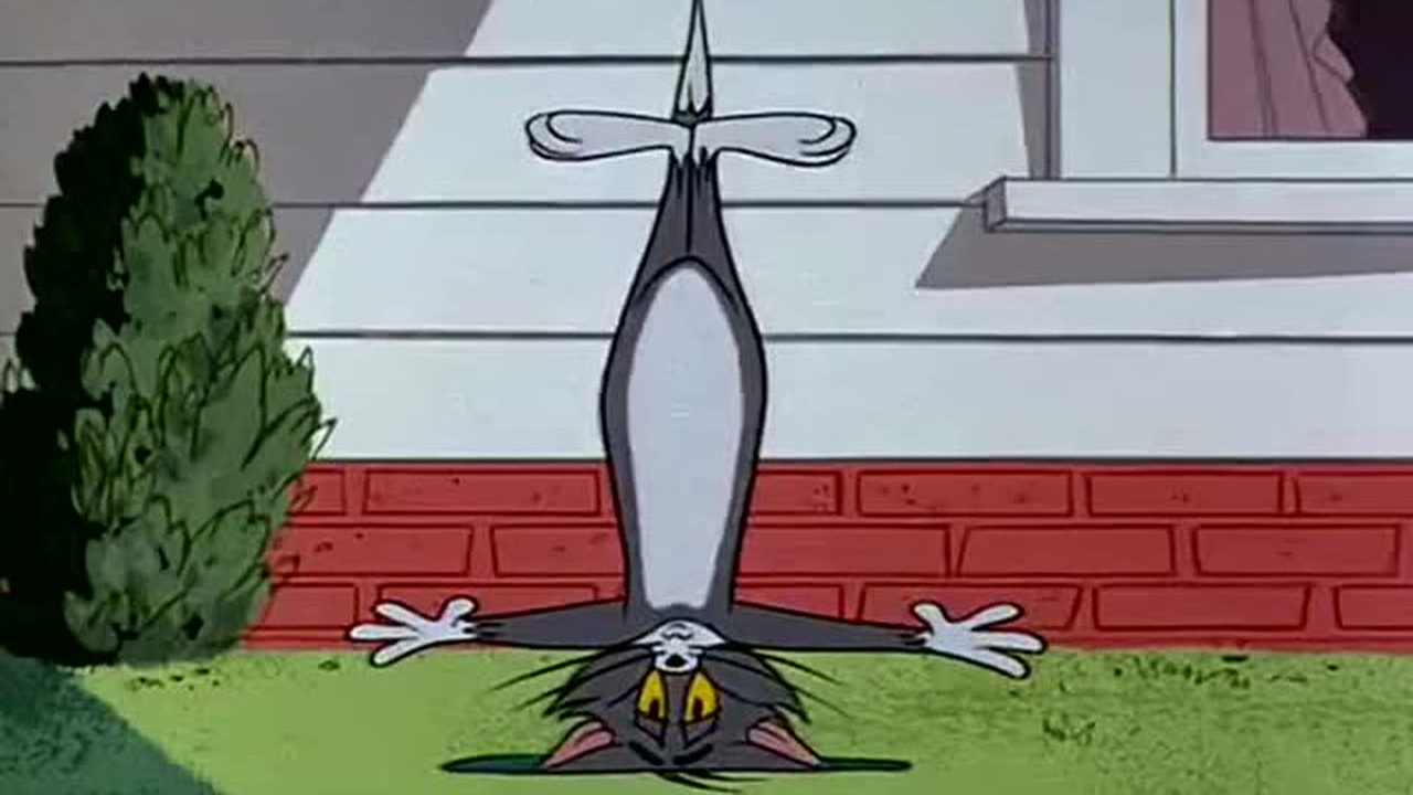 直接百米冲刺跑去撞门!不料门开了它掉下去了!