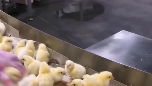 腾讯视频