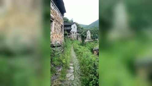 村越伊知郎 腾讯视频