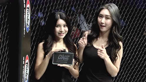 简 介:综合格斗战士前泰拳世界冠军阿兰·恩加拉尼上传者:沧海似一声