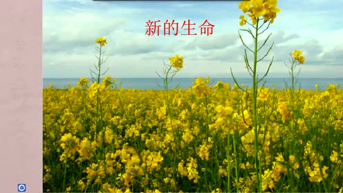 新教科版四年级科学上册 第一单元 1.2 声音是怎样产生的