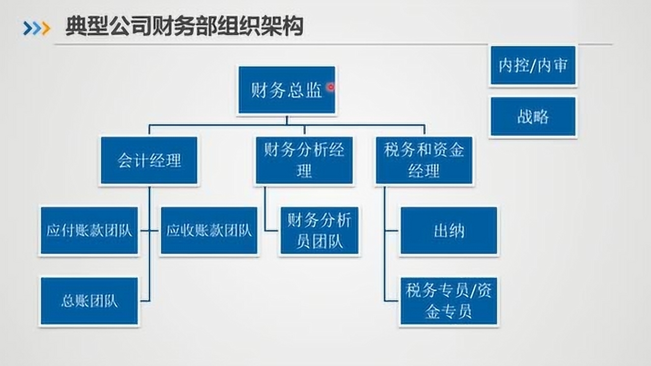 财务管理专业规划(财务管理专业规划800字)