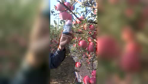 有机液体肥料 腾讯视频
