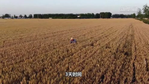 舞麦 腾讯视频