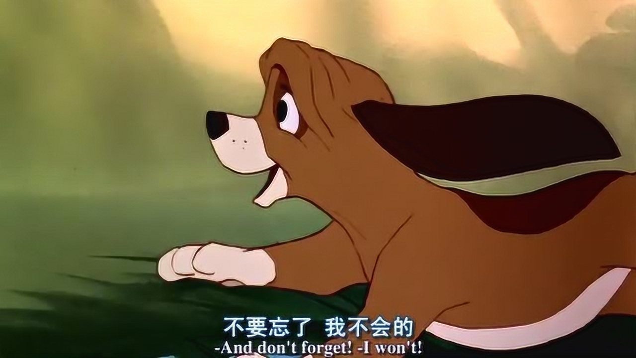 狐狸与猎狗:主人带着老大出去寻找小猎狗