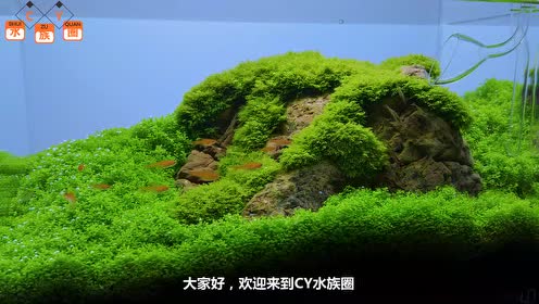 腾讯视频