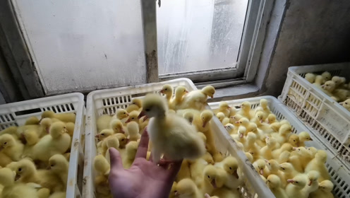 腾讯视频