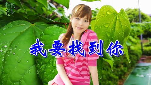 一首情歌《我要找到你》甜美醉人,太好听了,让人如痴如醉!