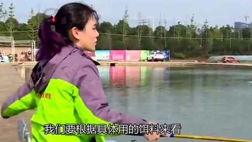 钓友使用干散饵作钓，状态很是不错