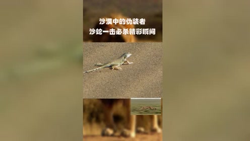 沙羅曼蛇 腾讯视频