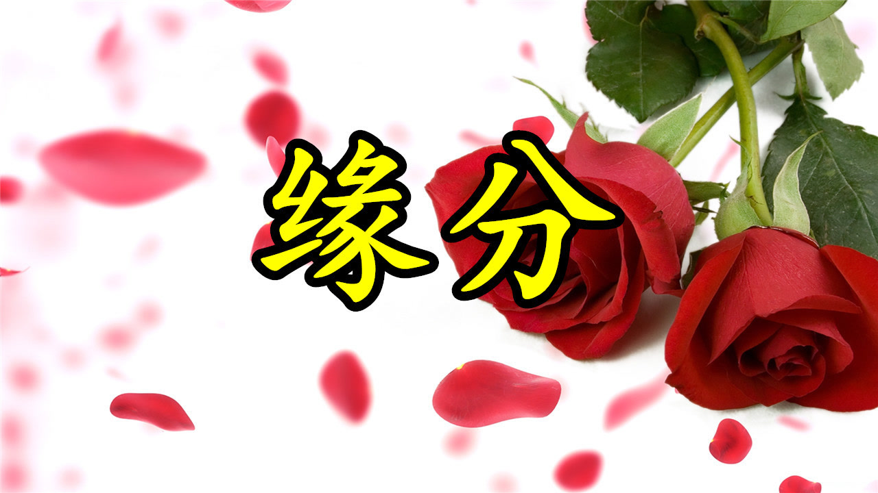 情歌mv:《缘份》不可不相信缘份,缘份像一扇爱情的门