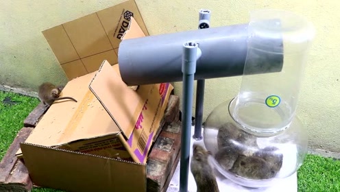 水道管 腾讯视频