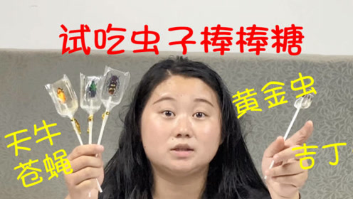 核桃小吉丁虫 腾讯视频