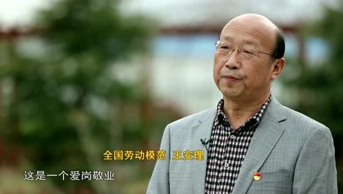 河南灵宝:先进人物,王安理