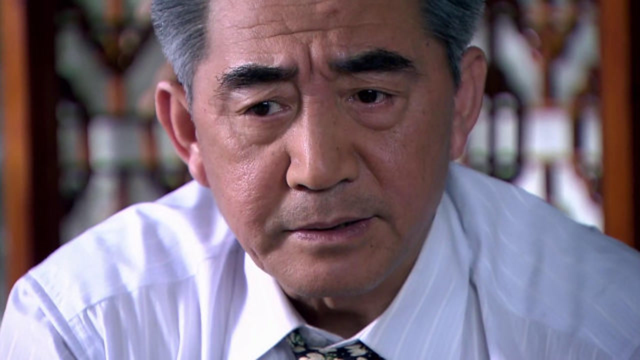 特别使命(2012年商蓉等主演电视剧)_搜狗百科