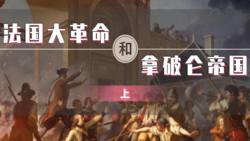 九年级历史上册第六单元第19课 法国大革命和拿破仑帝国