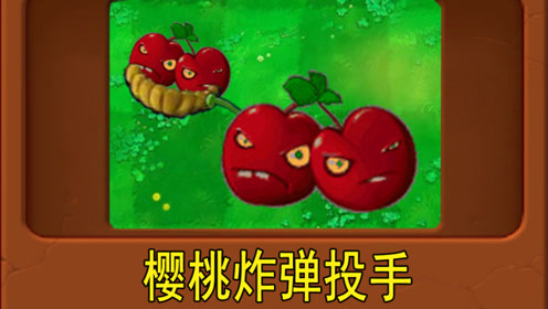 新植物:樱桃炸弹投手(植物大战僵尸魔改版)