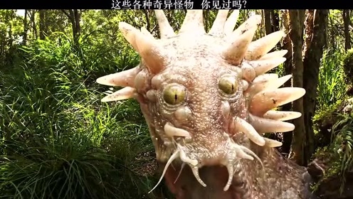 奇形异花 腾讯视频